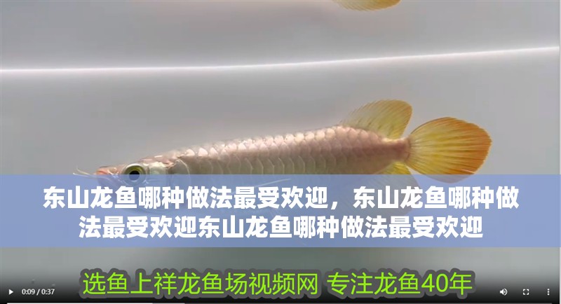 東山龍魚哪種做法最受歡迎，東山龍魚哪種做法最受歡迎東山龍魚哪種做法最受歡迎 東山龍魚哪種做法最受歡迎，東山龍魚哪種做法最受歡迎東山龍魚哪種做法最受歡迎 龍魚百科