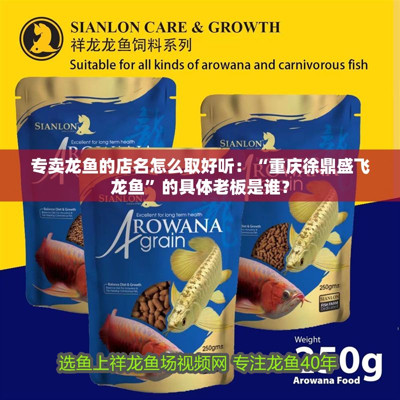 專賣龍魚的店名怎么取好聽：“重慶徐鼎盛飛龍魚”的具體老板是誰？
