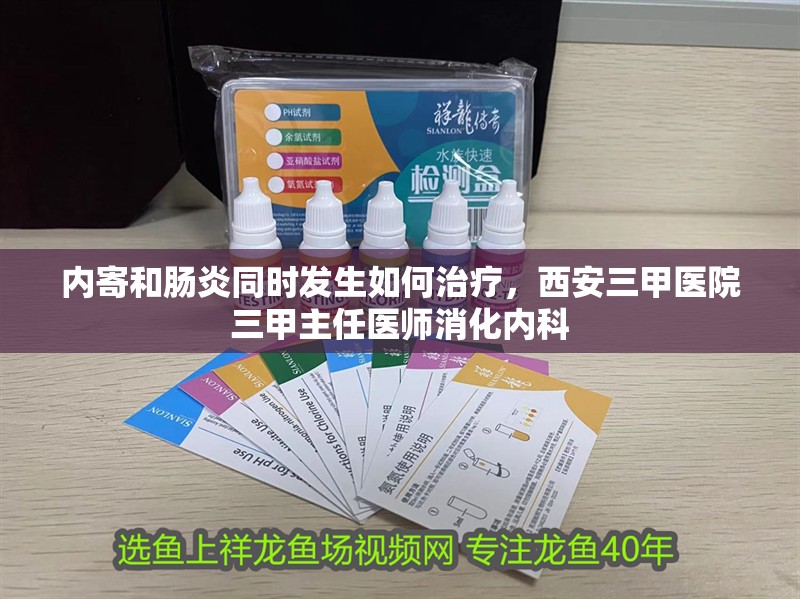 內寄和腸炎同時發生如何治療，西安三甲醫院三甲主任醫師消化內科 內寄和腸炎同時發生如何治療，西安三甲醫院三甲主任醫師消化內科 龍魚百科