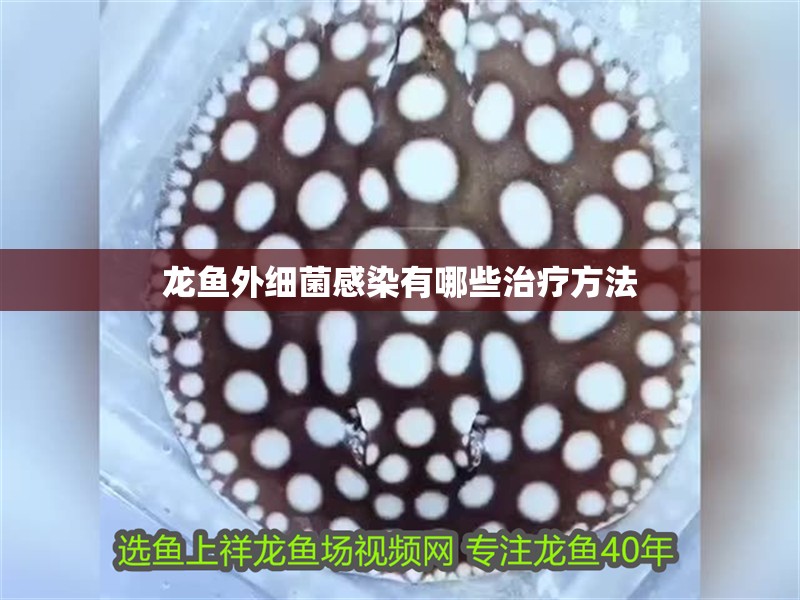 龍魚外細菌感染有哪些治療方法