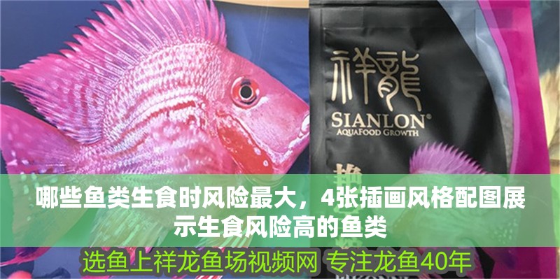 哪些魚類生食時風險最大，4張插畫風格配圖展示生食風險高的魚類 哪些魚類生食時風險最大，4張插畫風格配圖展示生食風險高的魚類 龍魚百科