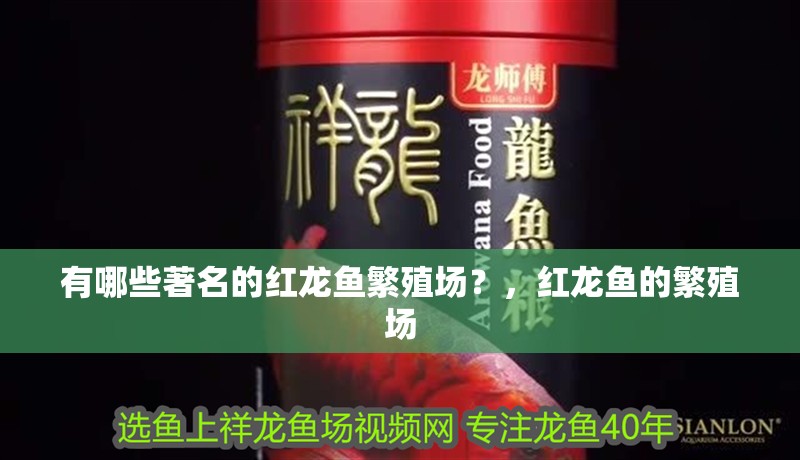 有哪些著名的紅龍魚繁殖場？，紅龍魚的繁殖場