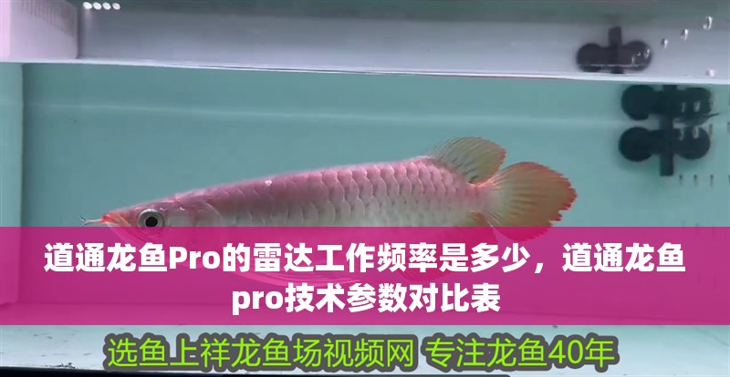道通龍魚Pro的雷達工作頻率是多少，道通龍魚pro技術參數對比表