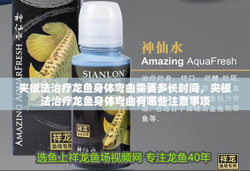 夾板法治療龍魚身體彎曲需要多長時間，夾板法治療龍魚身體彎曲有哪些注意事項