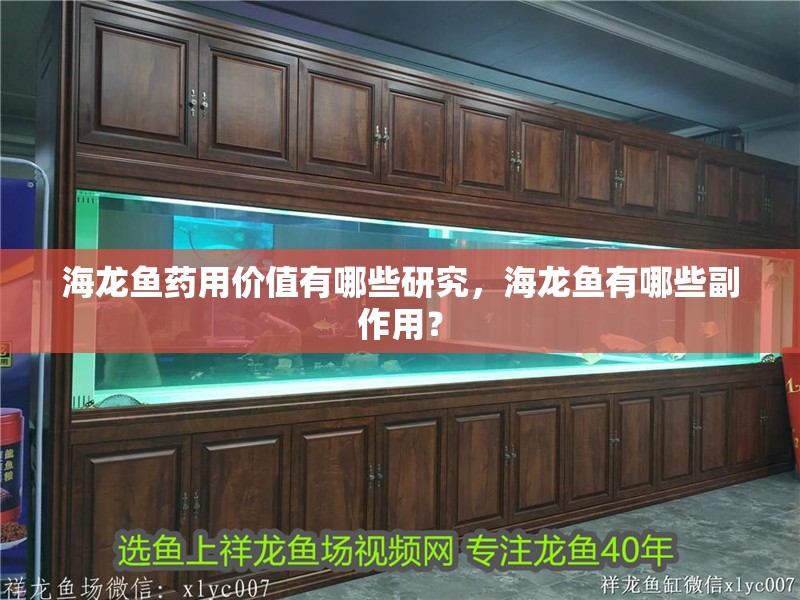 海龍魚藥用價值有哪些研究，海龍魚有哪些副作用？ 海龍魚藥用價值有哪些研究，海龍魚有哪些副作用？ 龍魚百科