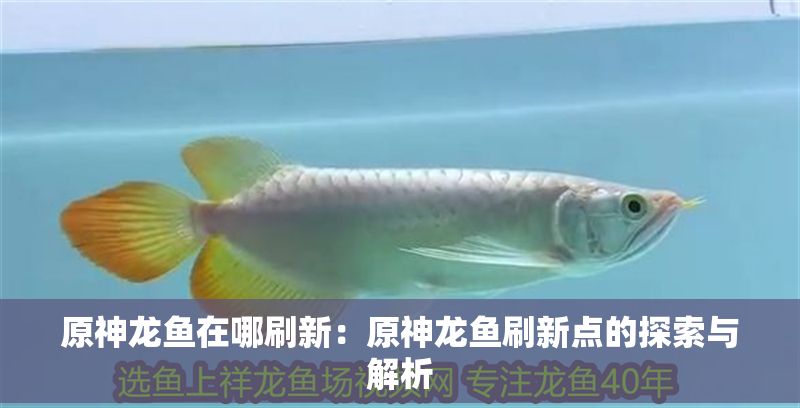 原神龍魚在哪刷新：原神龍魚刷新點的探索與解析