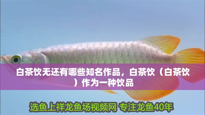 白茶飲無還有哪些知名作品，白茶飲（白茶飲）作為一種飲品