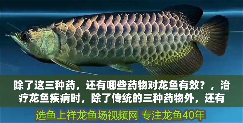 除了這三種藥，還有哪些藥物對龍魚有效？，治療龍魚疾病時，除了傳統的三種藥物外，還有多種藥物同樣有效 除了這三種藥，還有哪些藥物對龍魚有效？，治療龍魚疾病時，除了傳統的三種藥物外，還有多種藥物同樣有效 龍魚百科