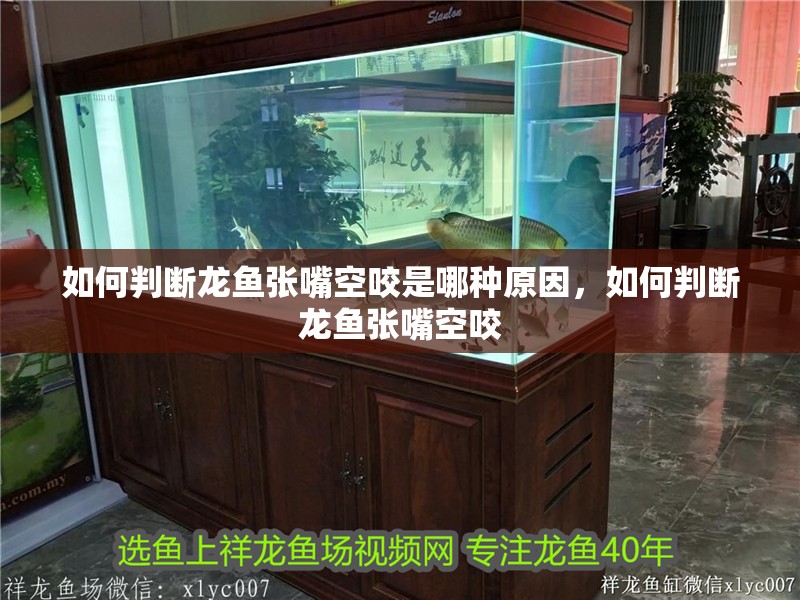 如何判斷龍魚張嘴空咬是哪種原因，如何判斷龍魚張嘴空咬