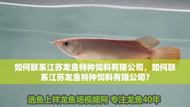 如何聯系江蘇龍魚特種飼料有限公司，如何聯系江蘇龍魚特種飼料有限公司？ 如何聯系江蘇龍魚特種飼料有限公司，如何聯系江蘇龍魚特種飼料有限公司？ 龍魚百科