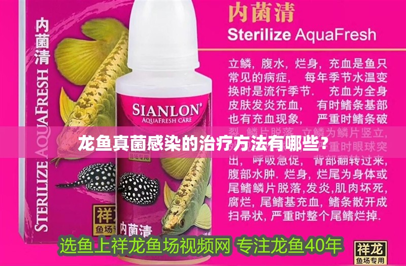 龍魚真菌感染的治療方法有哪些？