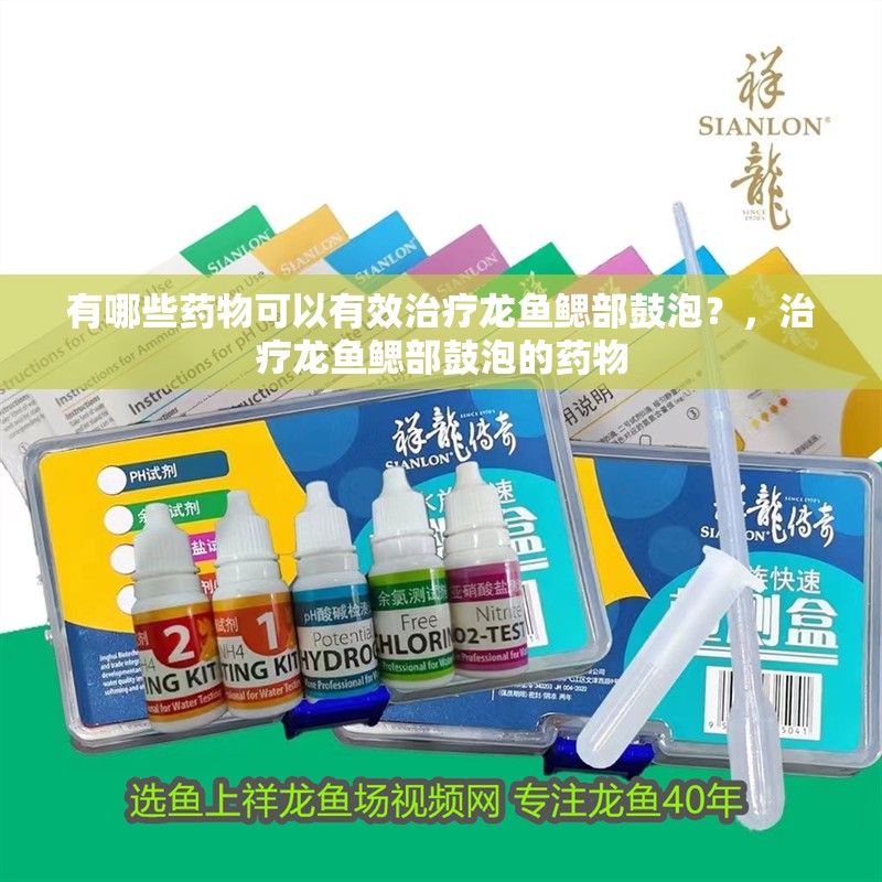 有哪些藥物可以有效治療龍魚鰓部鼓泡？，治療龍魚鰓部鼓泡的藥物