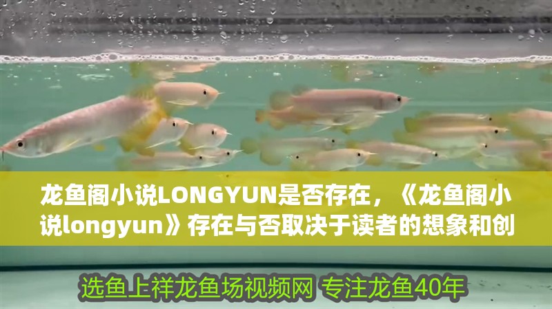 龍魚閣小說LONGYUN是否存在，《龍魚閣小說longyun》存在與否取決于讀者的想象和創作