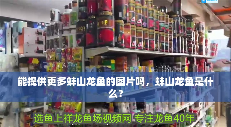 能提供更多蚌山龍魚的圖片嗎，蚌山龍魚是什么？