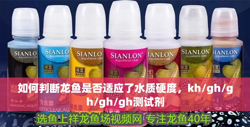 如何判斷龍魚是否適應了水質硬度，kh/gh/gh/gh/gh測試劑 如何判斷龍魚是否適應了水質硬度，kh/gh/gh/gh/gh測試劑 龍魚百科