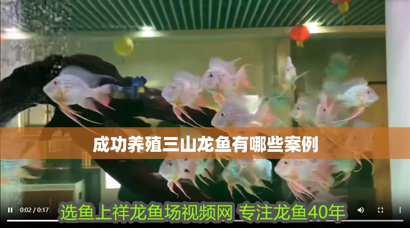 成功養(yǎng)殖三山龍魚(yú)有哪些案例