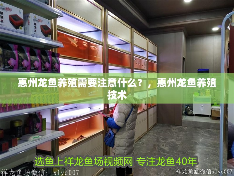 惠州龍魚養(yǎng)殖需要注意什么？，惠州龍魚養(yǎng)殖技術(shù)