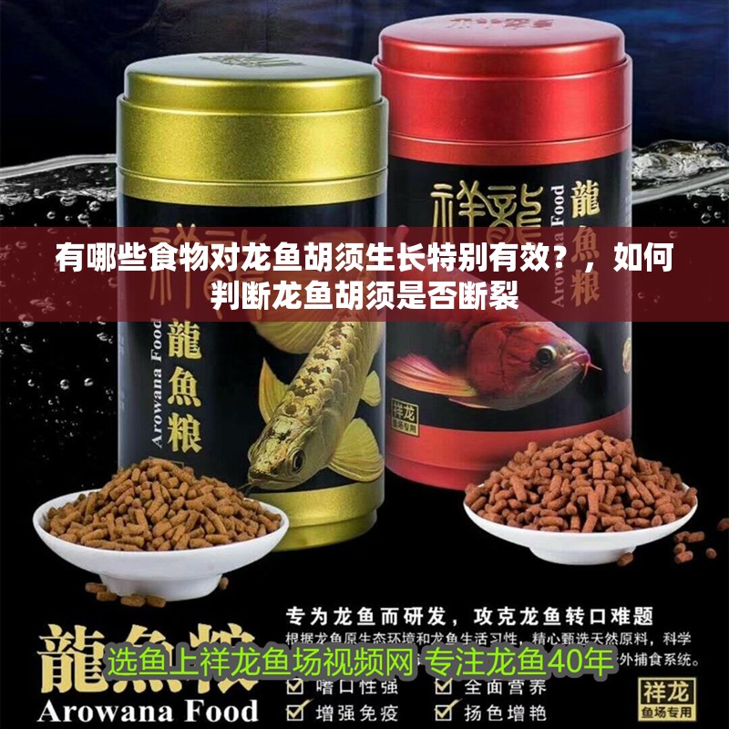 有哪些食物對龍魚胡須生長特別有效？，如何判斷龍魚胡須是否斷裂