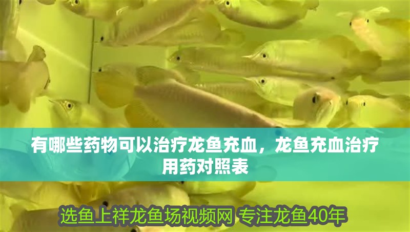 有哪些藥物可以治療龍魚充血，龍魚充血治療用藥對照表