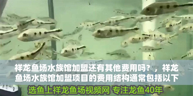 祥龍魚場水族館加盟還有其他費用嗎？，祥龍魚場水族館加盟項目的費用結構通常包括以下幾個方面