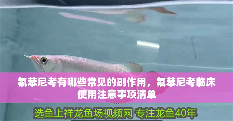 氟苯尼考有哪些常見的副作用，氟苯尼考臨床使用注意事項清單