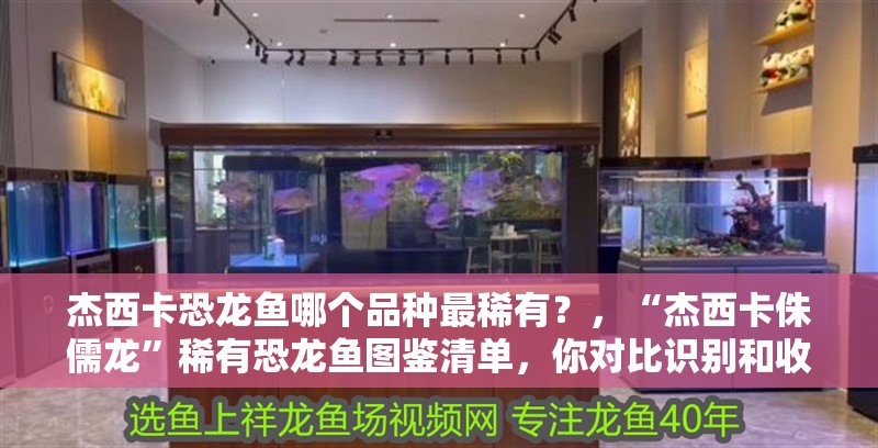 杰西卡恐龍魚哪個品種最稀有？，“杰西卡侏儒龍”稀有恐龍魚圖鑒清單，你對比識別和收藏參考