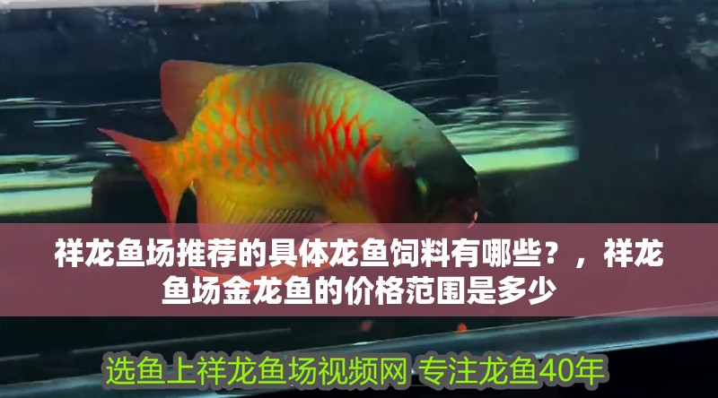 祥龍魚場推薦的具體龍魚飼料有哪些？，祥龍魚場金龍魚的價格范圍是多少