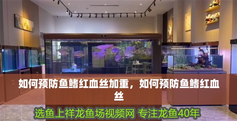 如何預(yù)防魚鰭紅血絲加重，如何預(yù)防魚鰭紅血絲