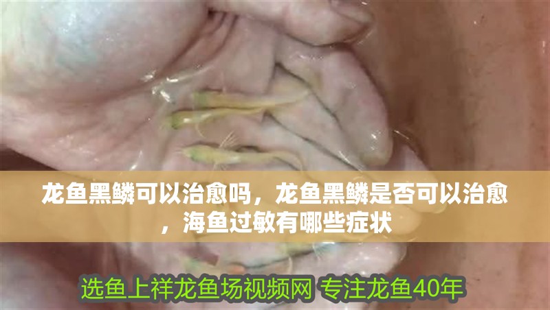 龍魚黑鱗可以治愈嗎，龍魚黑鱗是否可以治愈，海魚過敏有哪些癥狀