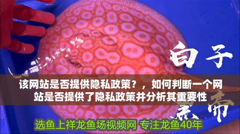 該網站是否提供隱私政策？，如何判斷一個網站是否提供了隱私政策并分析其重要性