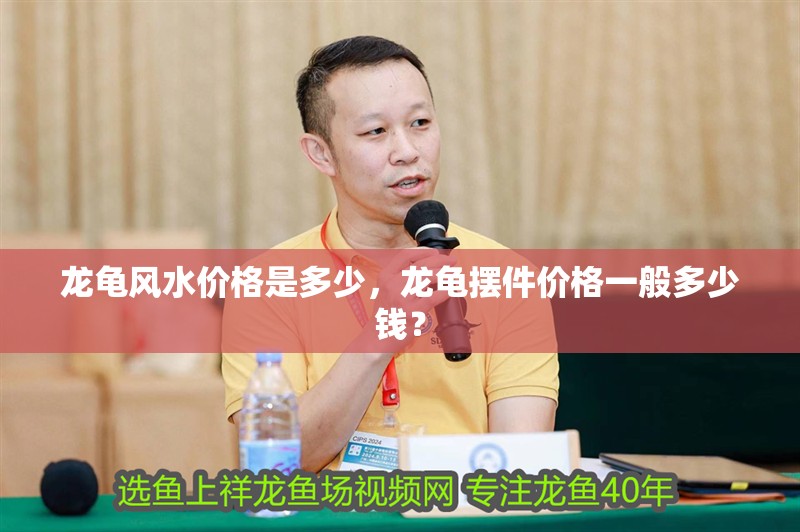 龍龜風水價格是多少，龍龜擺件價格一般多少錢？