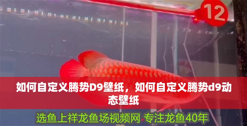 印尼虎魚多少溫度飼養(yǎng)最好:印尼虎魚多少溫度飼養(yǎng)最好印尼虎魚多少溫度飼養(yǎng)最好 如何自定義騰勢(shì)D9壁紙,如何自定義騰勢(shì)d9動(dòng)態(tài)壁紙 龍魚百科 如何自定義騰勢(shì)D9壁紙,如何自定義騰勢(shì)d9動(dòng)態(tài)壁紙 如何自定義騰勢(shì)D9壁紙,如何自定義騰勢(shì)d9動(dòng)態(tài)壁紙 龍魚百科