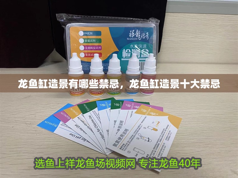 龍魚(yú)缸造景有哪些禁忌，龍魚(yú)缸造景十大禁忌