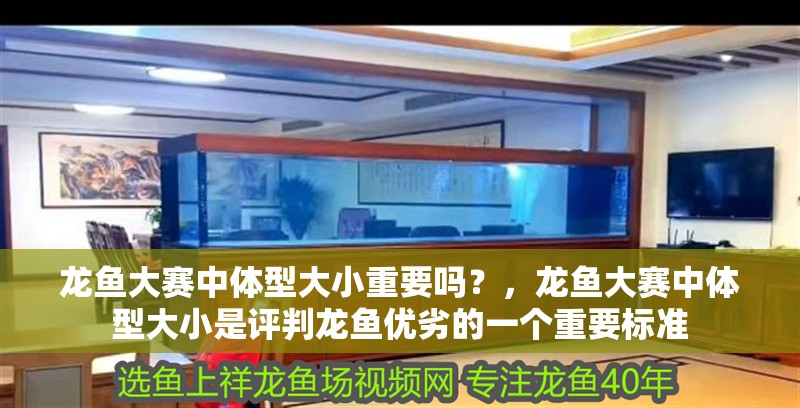 龍魚大賽中體型大小重要嗎？，龍魚大賽中體型大小是評(píng)判龍魚優(yōu)劣的一個(gè)重要標(biāo)準(zhǔn) 龍魚大賽中體型大小重要嗎？，龍魚大賽中體型大小是評(píng)判龍魚優(yōu)劣的一個(gè)重要標(biāo)準(zhǔn) 龍魚百科