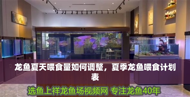龍魚夏天喂食量如何調(diào)整，夏季龍魚喂食計劃表 龍魚夏天喂食量如何調(diào)整，夏季龍魚喂食計劃表 龍魚百科