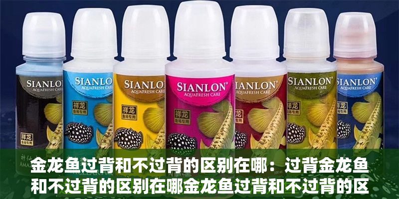 金龍魚過背和不過背的區(qū)別在哪：過背金龍魚和不過背的區(qū)別在哪金龍魚過背和不過背的區(qū)別在哪