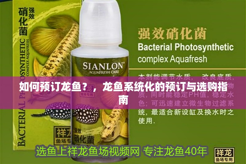 如何預(yù)訂龍魚？，龍魚系統(tǒng)化的預(yù)訂與選購指南 如何預(yù)訂龍魚？，龍魚系統(tǒng)化的預(yù)訂與選購指南 龍魚百科