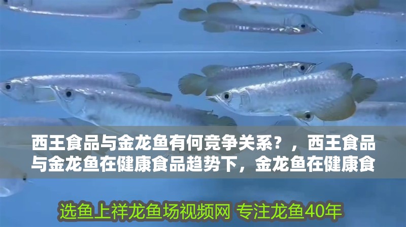 西王食品與金龍魚有何競爭關系？，西王食品與金龍魚在健康食品趨勢下，金龍魚在健康食品趨勢下 西王食品與金龍魚有何競爭關系？，西王食品與金龍魚在健康食品趨勢下，金龍魚在健康食品趨勢下 龍魚百科