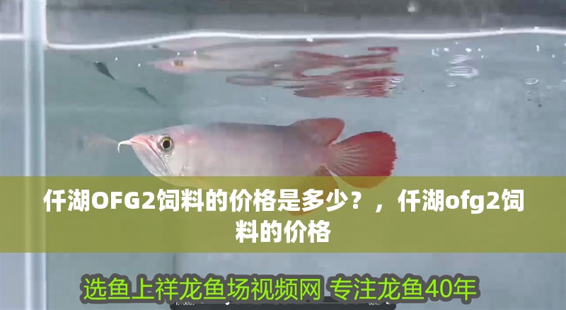 龍魚干蝦有營養嗎 仟湖OFG2飼料的價格是多少?,仟湖ofg2飼料的價格 龍魚百科 仟湖OFG2飼料的價格是多少?,仟湖ofg2飼料的價格 仟湖OFG2飼料的價格是多少?,仟湖ofg2飼料的價格 龍魚百科