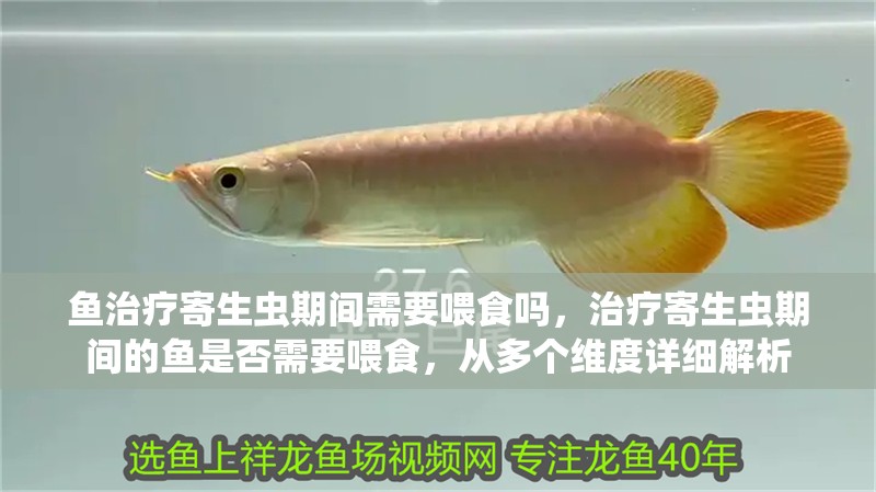 魚治療寄生蟲期間需要喂食嗎，治療寄生蟲期間的魚是否需要喂食，從多個維度詳細解析 魚治療寄生蟲期間需要喂食嗎，治療寄生蟲期間的魚是否需要喂食，從多個維度詳細解析 龍魚百科