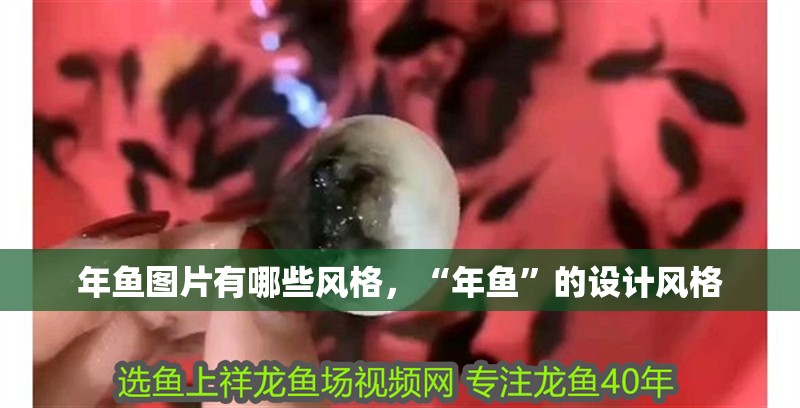 年魚圖片有哪些風格，“年魚”的設計風格