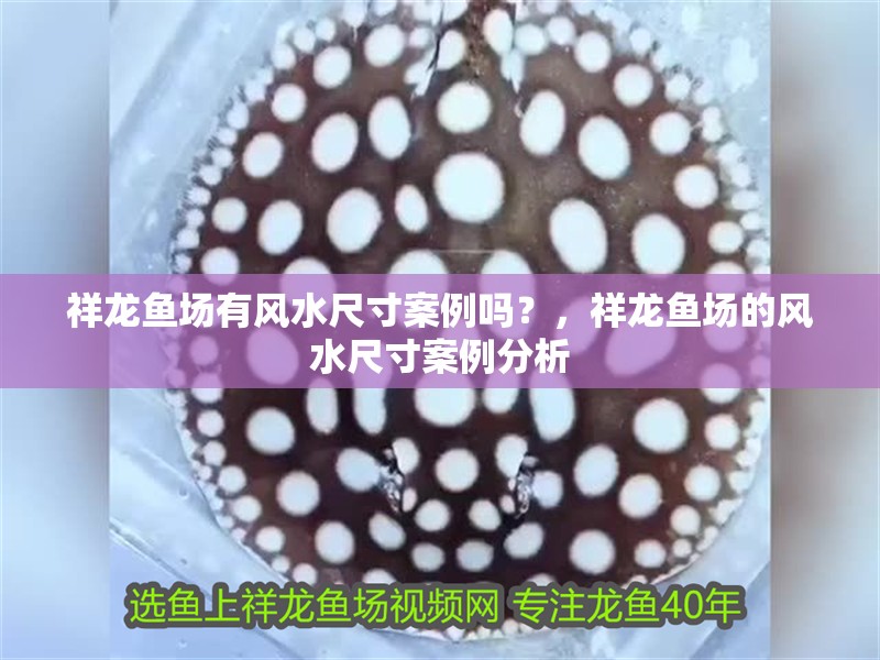 魚缸用增氧泵價格是多少:魚缸增氧機-xtrac增氧機-xtrac增氧機 祥龍魚場有風水尺寸案例嗎?,祥龍魚場的風水尺寸案例分析 龍魚百科 祥龍魚場有風水尺寸案例嗎?,祥龍魚場的風水尺寸案例分析 祥龍魚場有風水尺寸案例嗎?,祥龍魚場的風水尺寸案例分析 龍魚百科