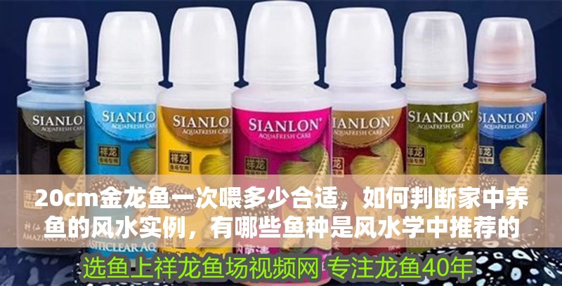 20cm金龍魚一次喂多少合適，如何判斷家中養(yǎng)魚的風(fēng)水實例，有哪些魚種是風(fēng)水學(xué)中推薦的？ 20cm金龍魚一次喂多少合適，如何判斷家中養(yǎng)魚的風(fēng)水實例，有哪些魚種是風(fēng)水學(xué)中推薦的？ 龍魚百科
