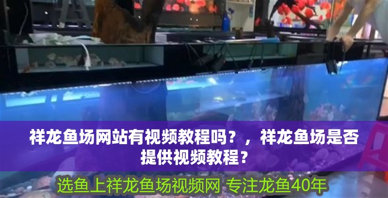 祥龍魚場網站有視頻教程嗎？，祥龍魚場是否提供視頻教程？