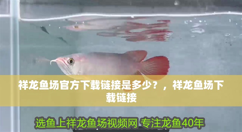 祥龍魚場官方下載鏈接是多少？，祥龍魚場下載鏈接 祥龍魚場官方下載鏈接是多少？，祥龍魚場下載鏈接 龍魚百科