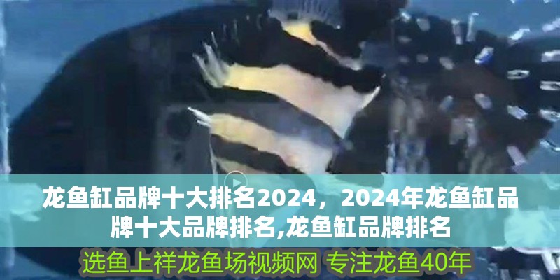 龍魚缸品牌十大排名2024，2024年龍魚缸品牌十大品牌排名,龍魚缸品牌排名 龍魚缸品牌十大排名2024，2024年龍魚缸品牌十大品牌排名,龍魚缸品牌排名 龍魚百科