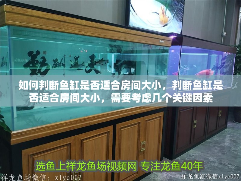 如何判斷魚(yú)缸是否適合房間大小，判斷魚(yú)缸是否適合房間大小，需要考慮幾個(gè)關(guān)鍵因素 如何判斷魚(yú)缸是否適合房間大小，判斷魚(yú)缸是否適合房間大小，需要考慮幾個(gè)關(guān)鍵因素 龍魚(yú)百科