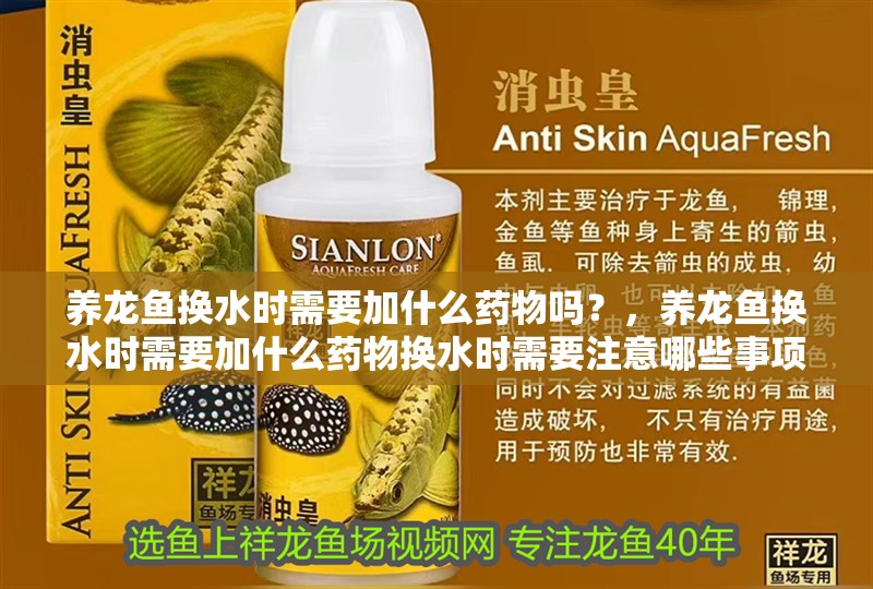 魚缸用增氧泵價格是多少:魚缸增氧機-xtrac增氧機-xtrac增氧機 養龍魚換水時需要加什么藥物嗎?,養龍魚換水時需要加什么藥物換水時需要注意哪些事項 龍魚百科 養龍魚換水時需要加什么藥物嗎?,養龍魚換水時需要加什么藥物換水時需要注意哪些事項 養龍魚換水時需要加什么藥物嗎?,養龍魚換水時需要加什么藥物換水時需要注意哪些事項 龍魚百科