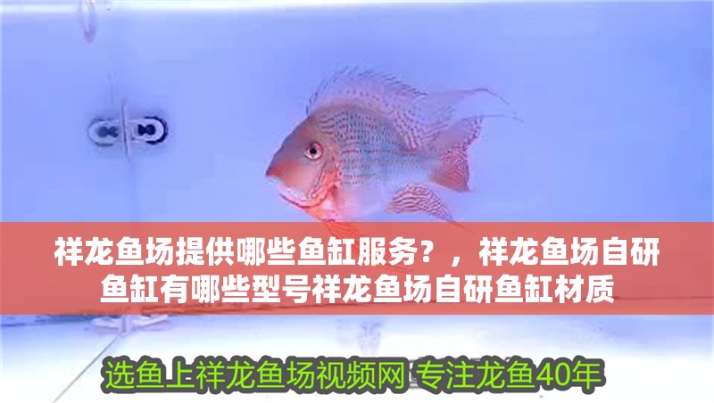 祥龍魚場提供哪些魚缸服務？，祥龍魚場自研魚缸有哪些型號祥龍魚場自研魚缸材質