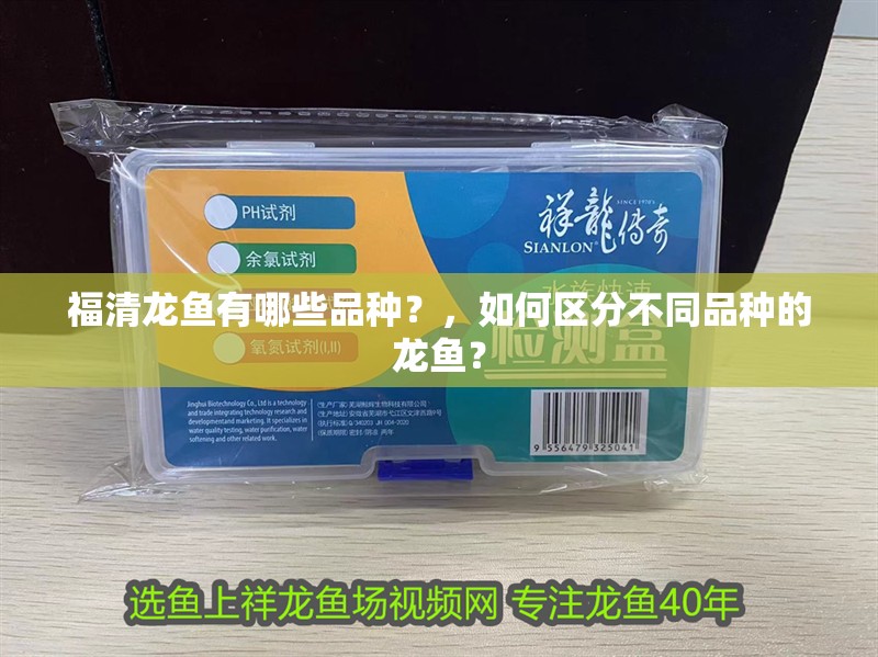 福清龍魚有哪些品種？，如何區(qū)分不同品種的龍魚？